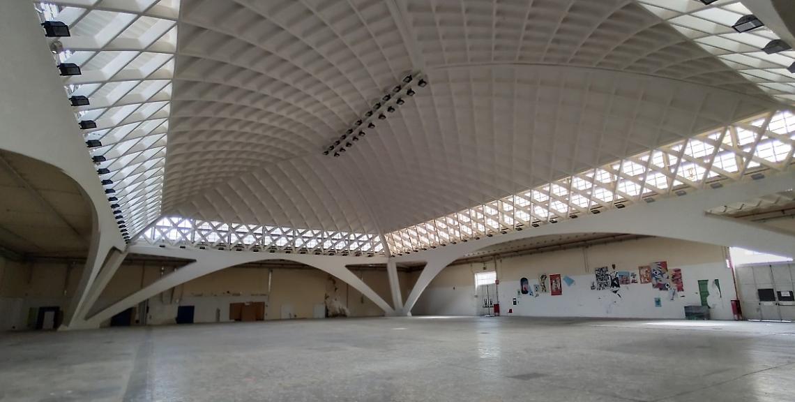 Lo stato attuale del Padiglione Nervi