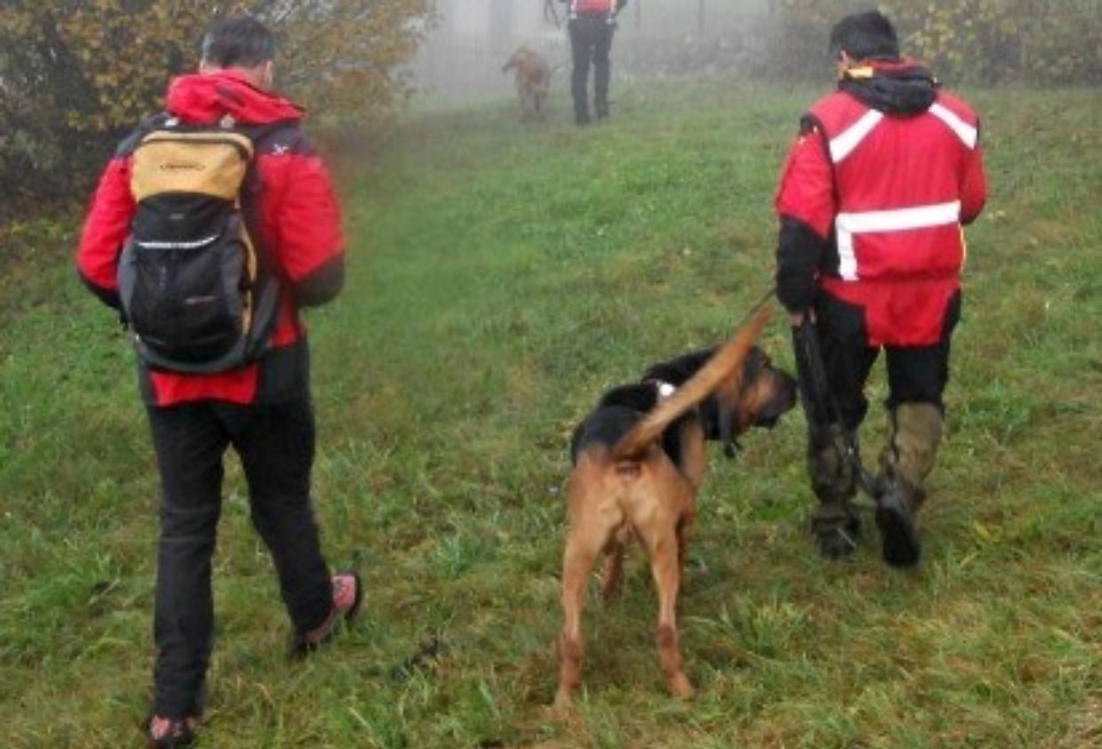 cani molecolari pet detective