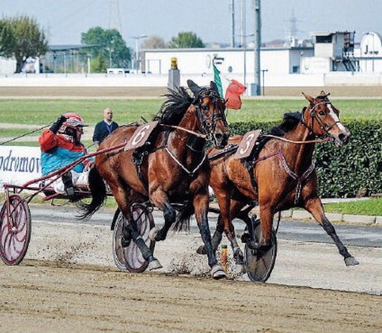 Ippodromo di Vinovo