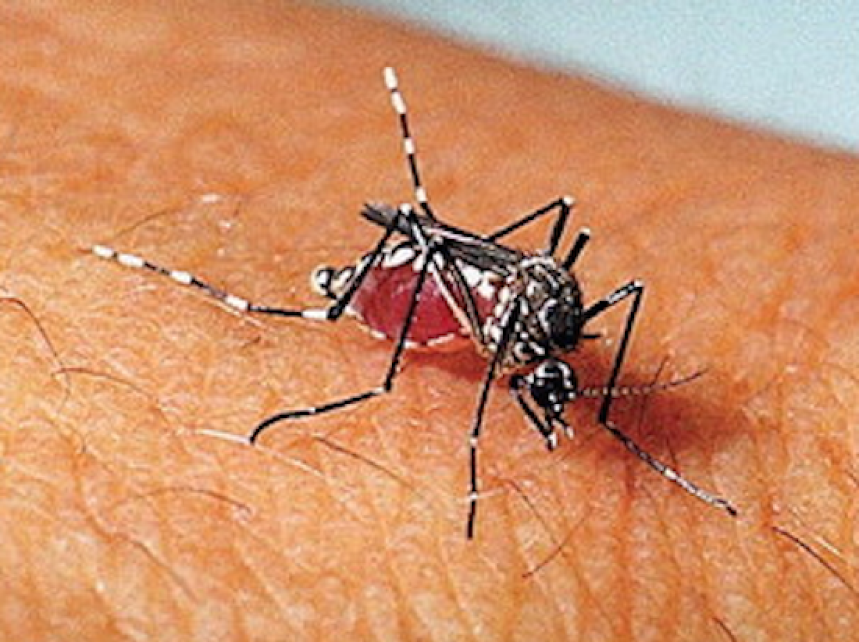 Schermata 2017-07-20 alle 08.24.25