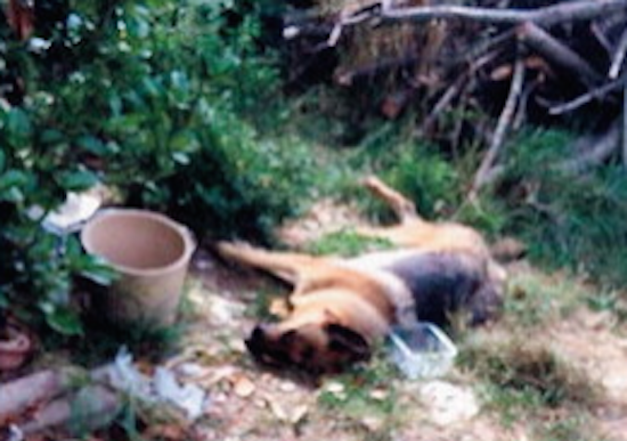 Schermata 2017-08-29 alle 10.55.47