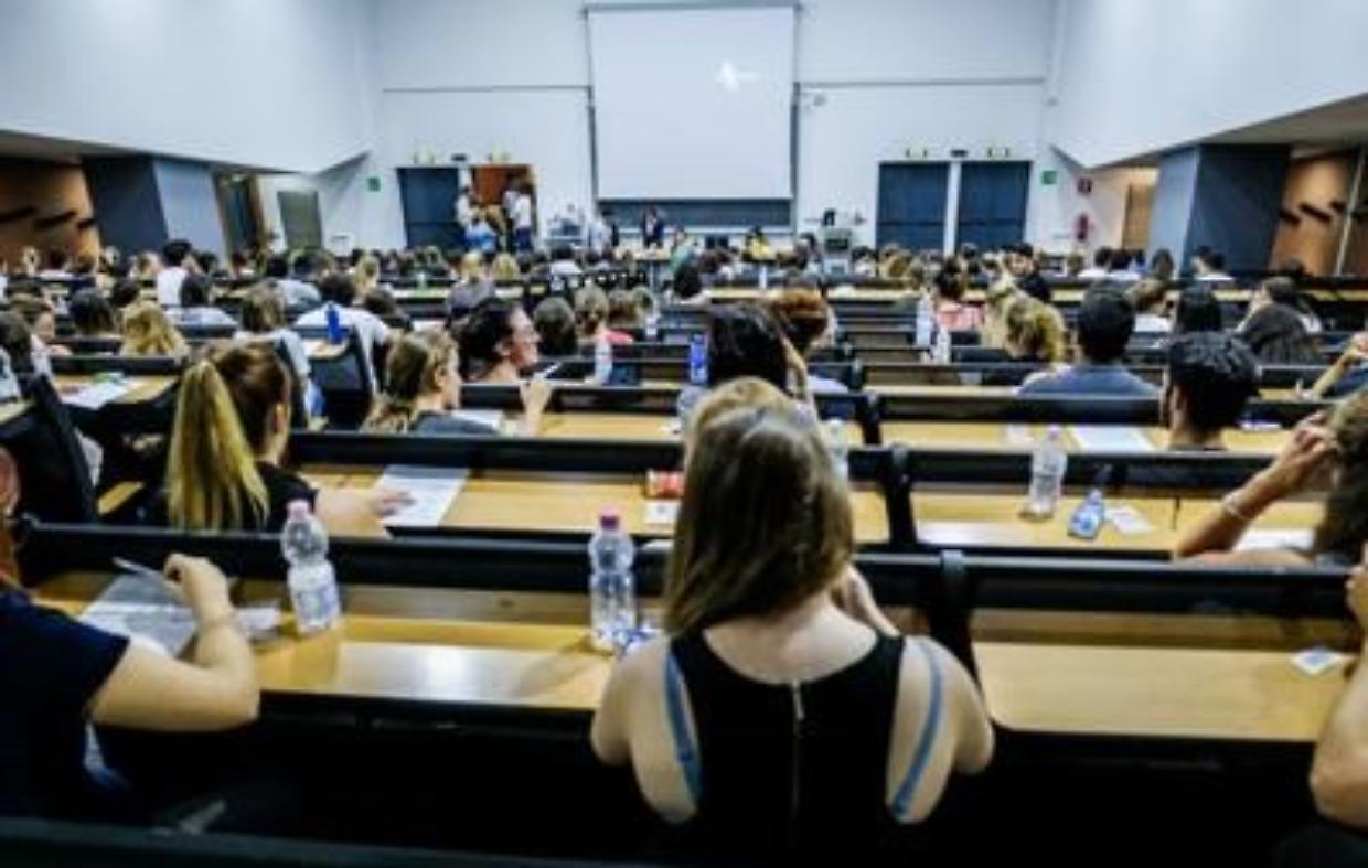 cattedre università