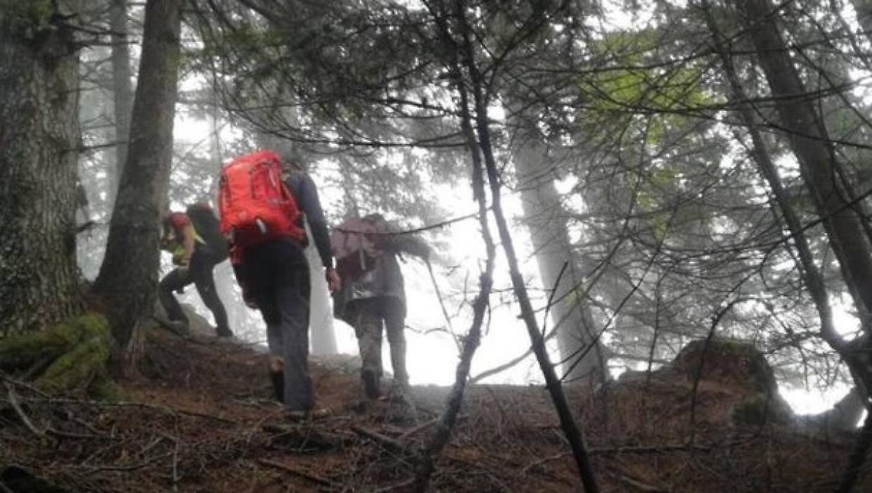 anziano disperso ricerche