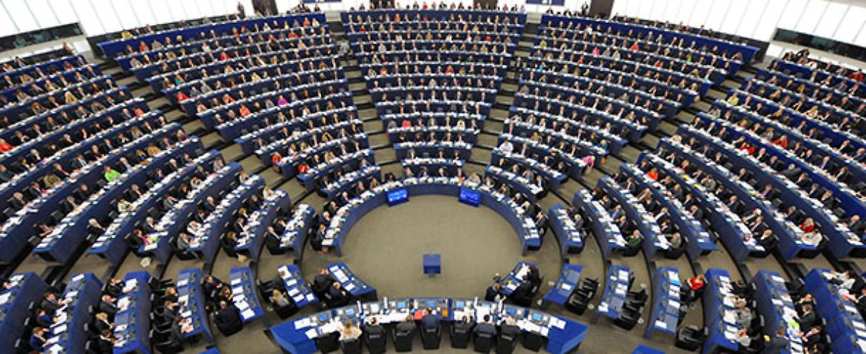 Members of the European Parliament take