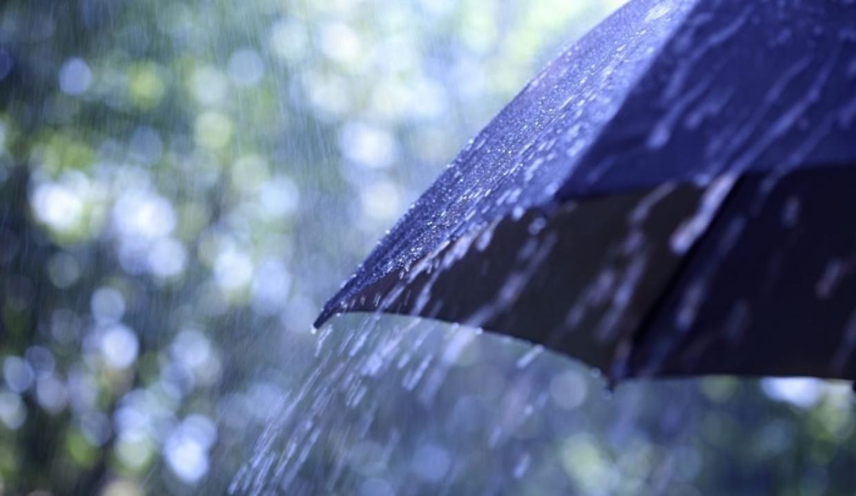 Petricore: il profumo magico della pioggia che parla ai nostri sensi