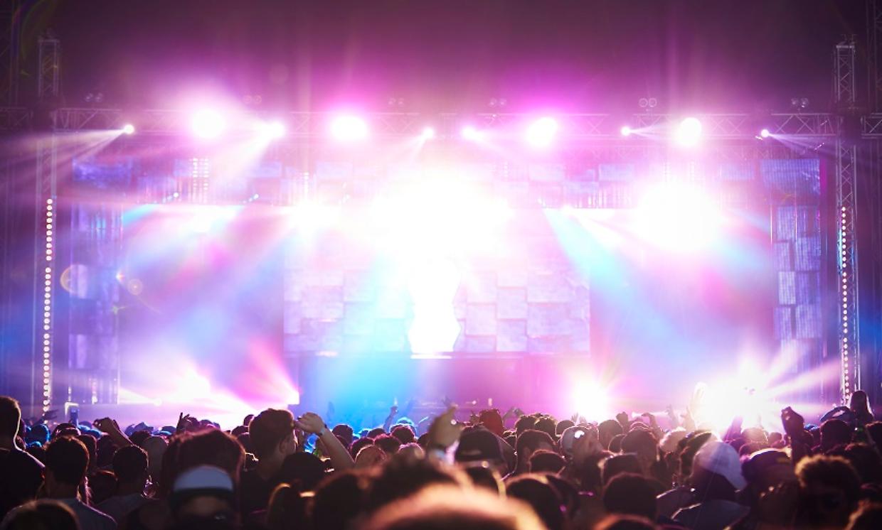 Rear View Of Audience Enjoying Music Festival
