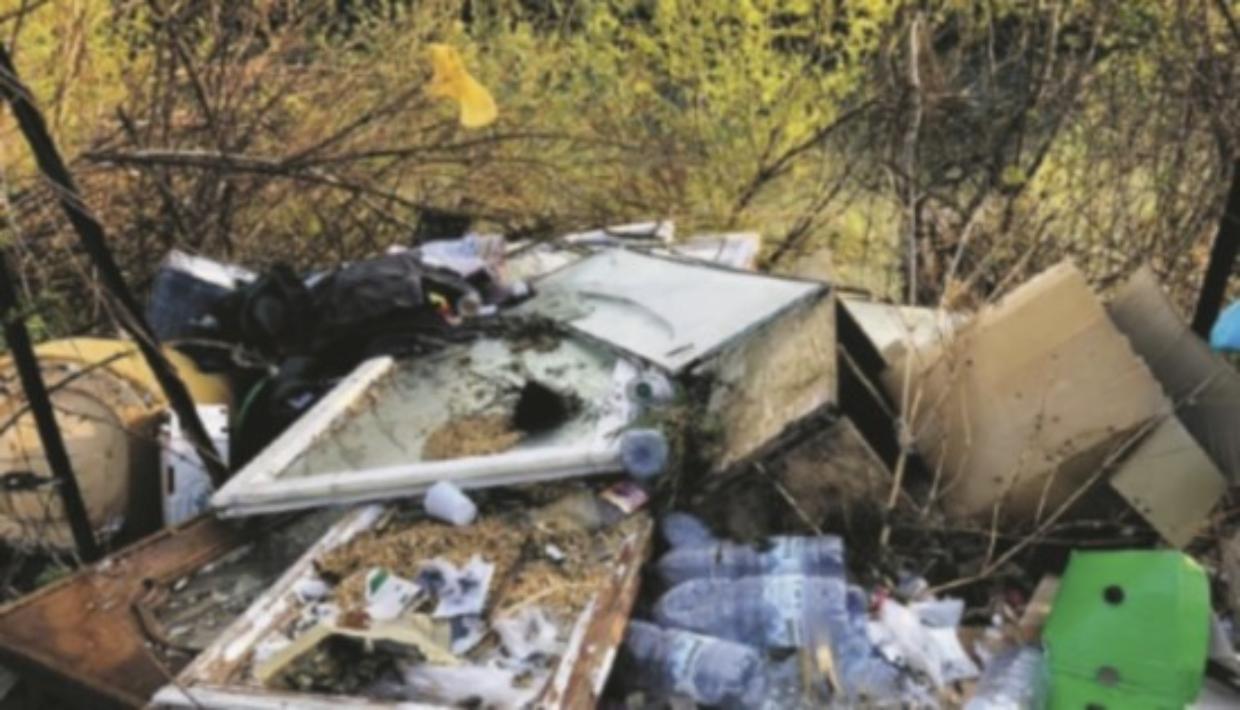 Abbandono di rifiuti a Cavour e Piscina, individuati i responsabili grazie alle indagini dei carabinieri forestali