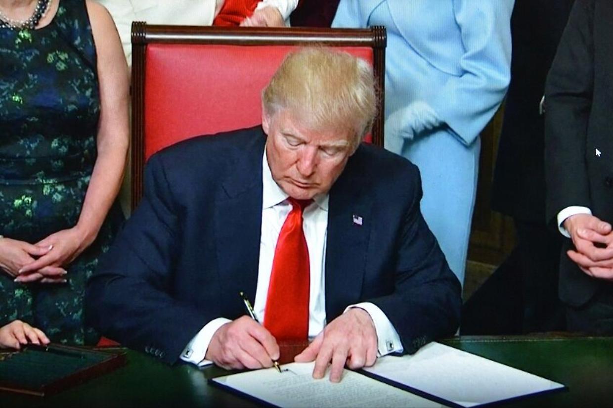 trump dp