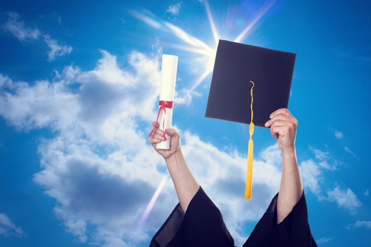 Laurea