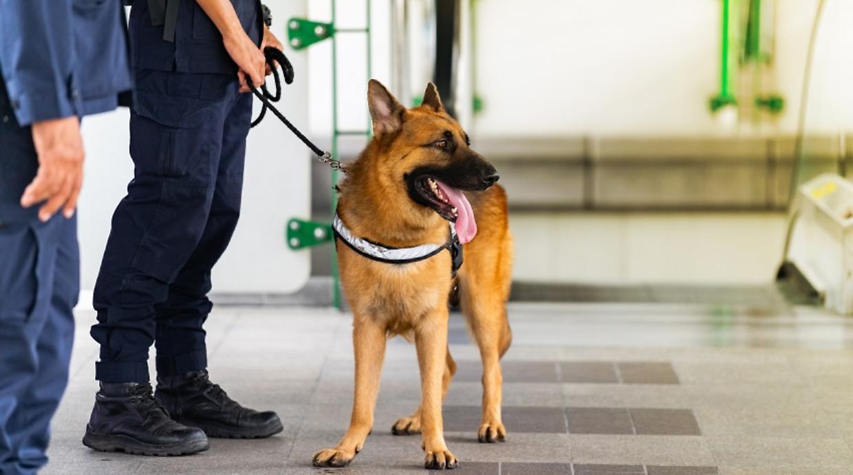 Droga nei bagni della stazione di Bra: intensificati i controlli della Polizia di Stato