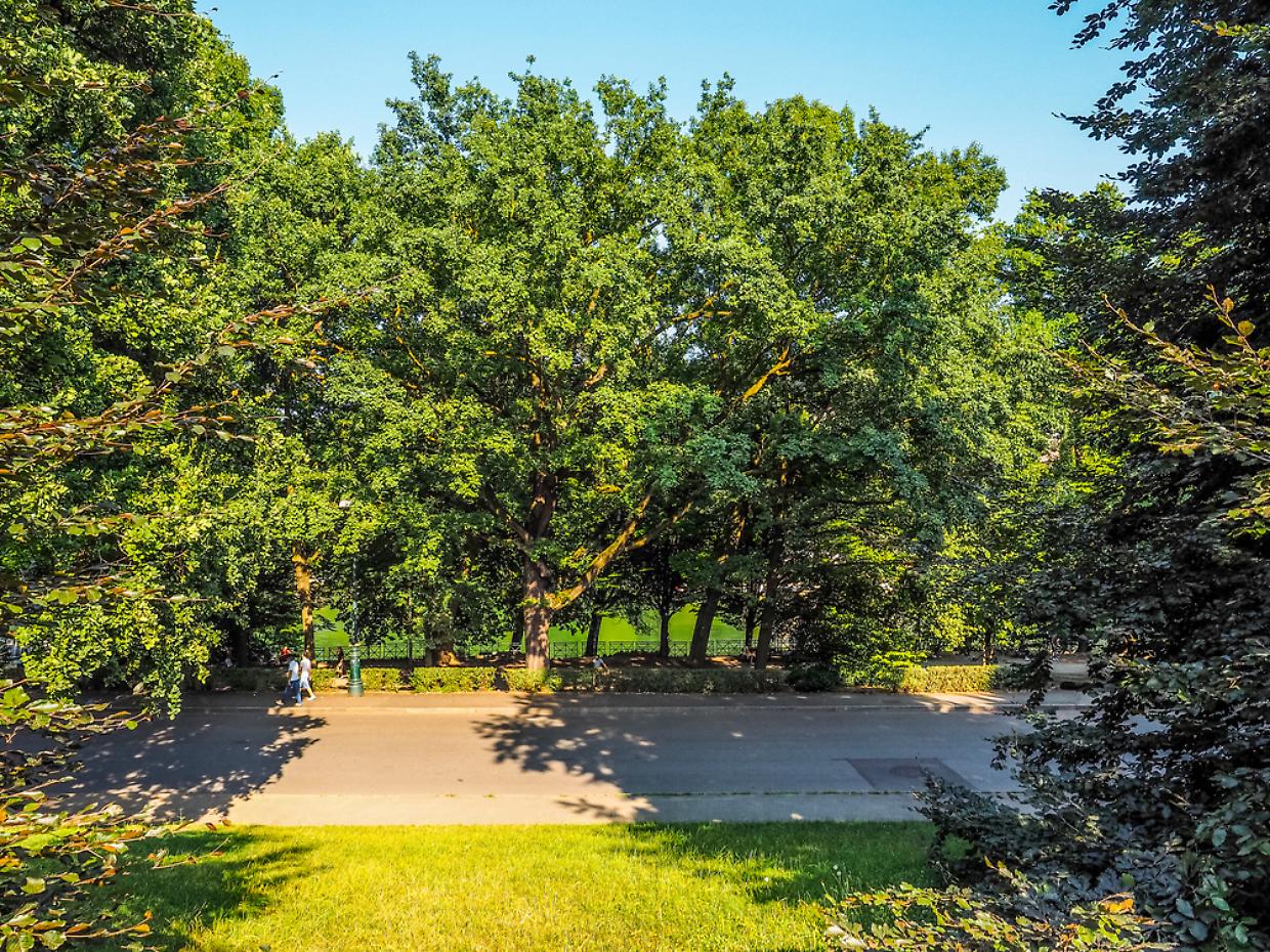 Parco del Valentino