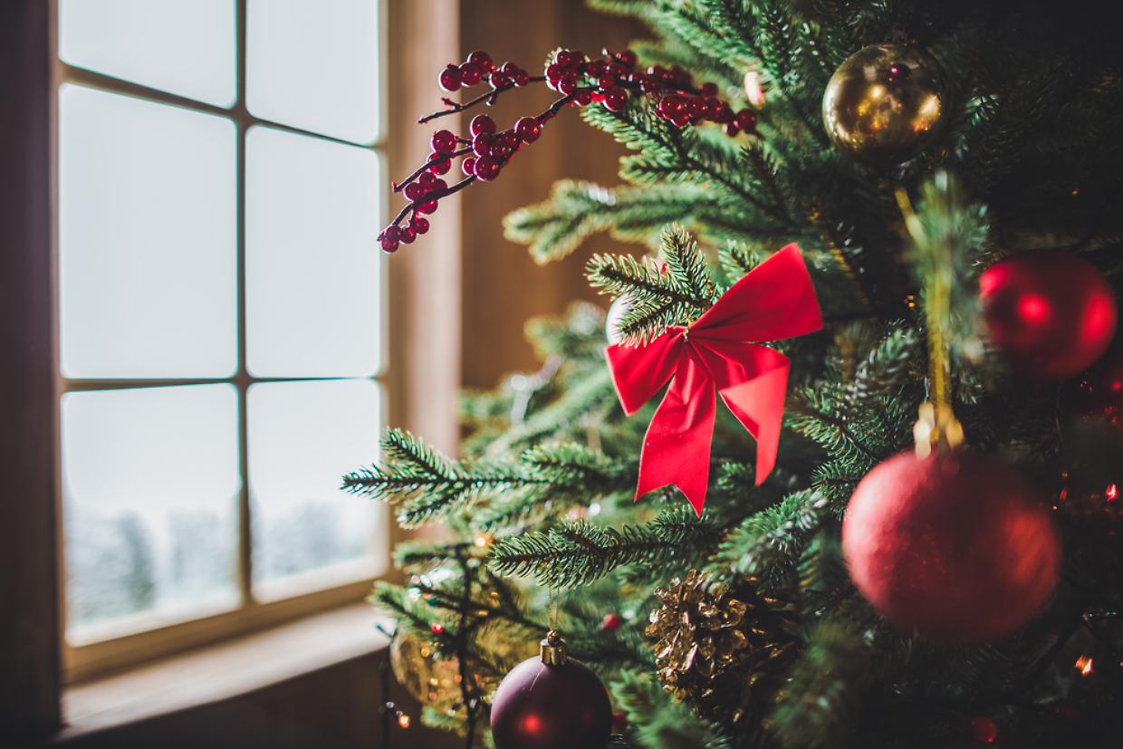 albero di natale