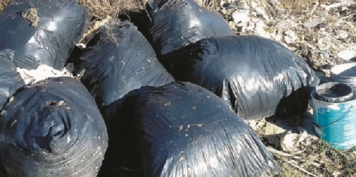 Asti, Vallarone assediata dai rifiuti ingombranti: Comune e Asp rilanciano la battaglia