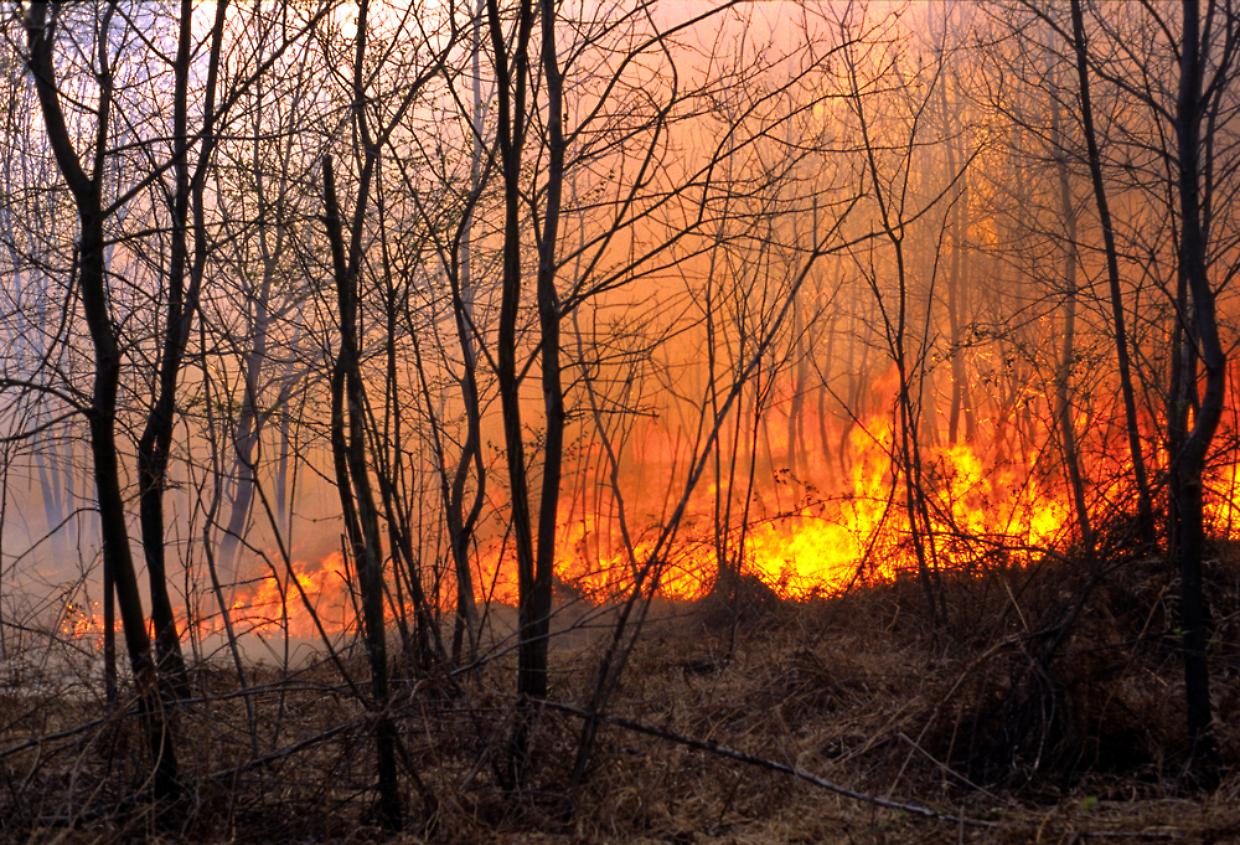 Incendio