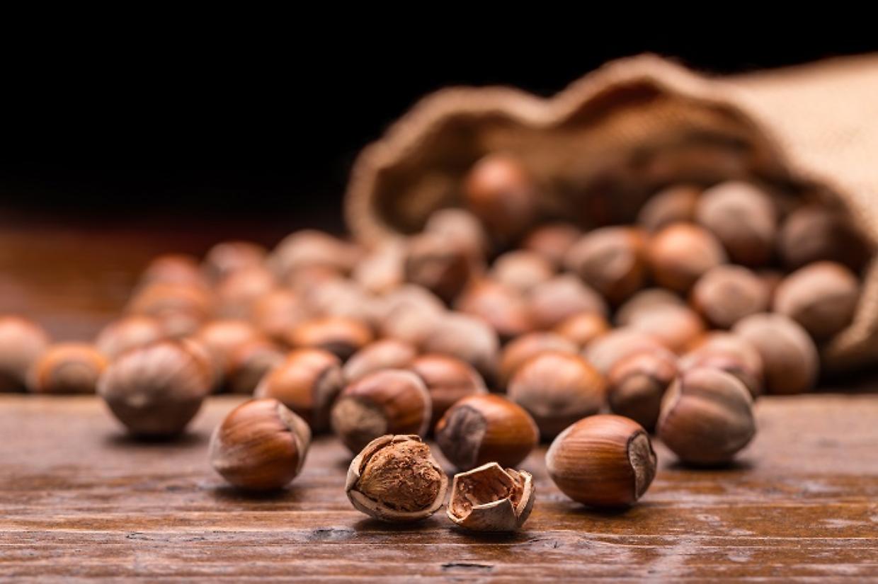 Questo sabato si terrà  al Palaexpo di Cherasco, si terrà il convegno "Il Nocciolo. Innovazione e strategie per il futuro" (Foto di repertorio)