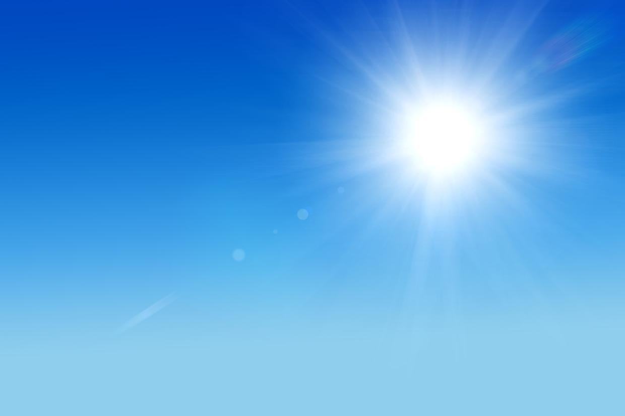 sole