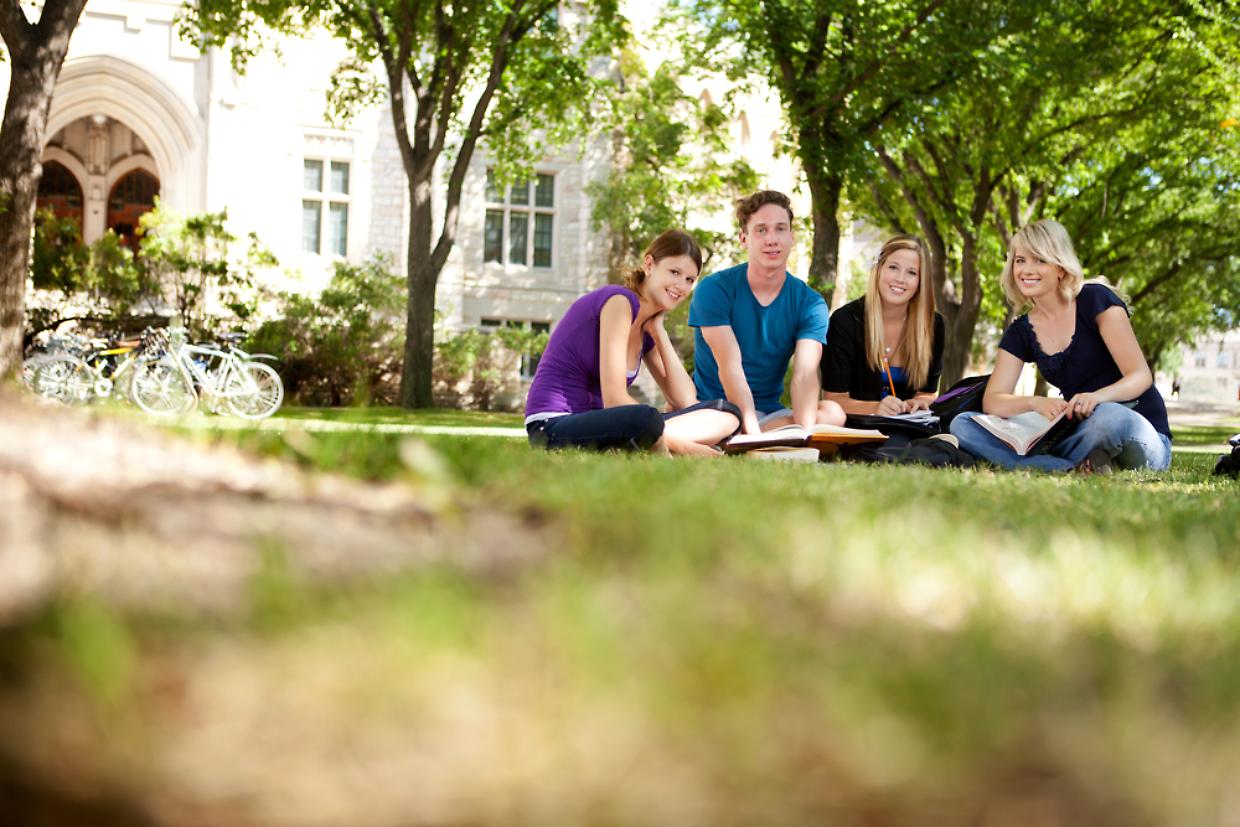 Campus universitario