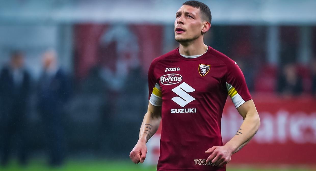 belotti toro