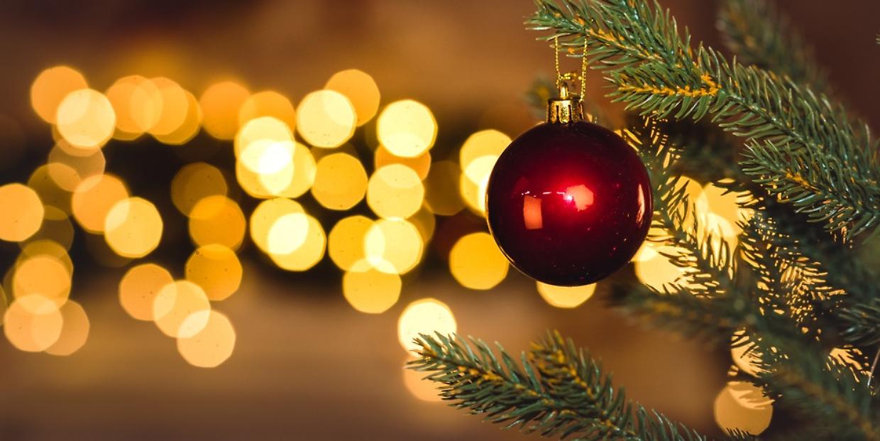 Sommariva del Bosco accende il Natale: luminarie, albero all’uncinetto e nuovi pastori in piazza