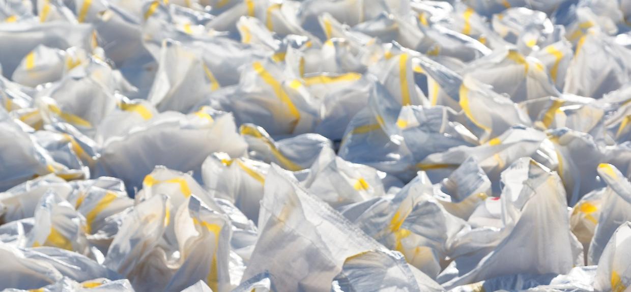 sacchetti plastica dp