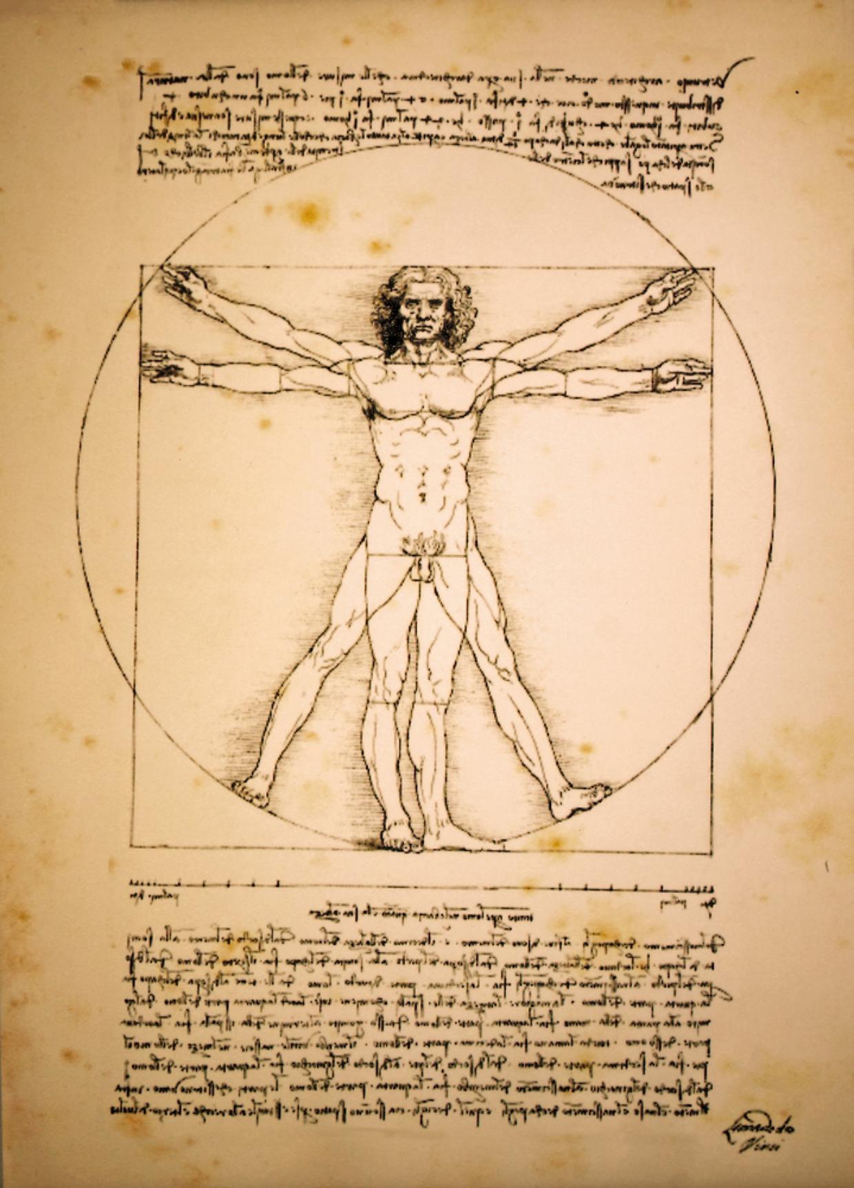 Vitruvian man of Leonardo Da Vinci
