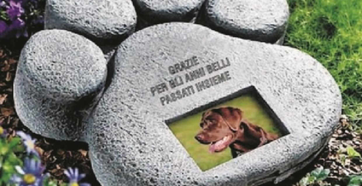 crematorio animali
