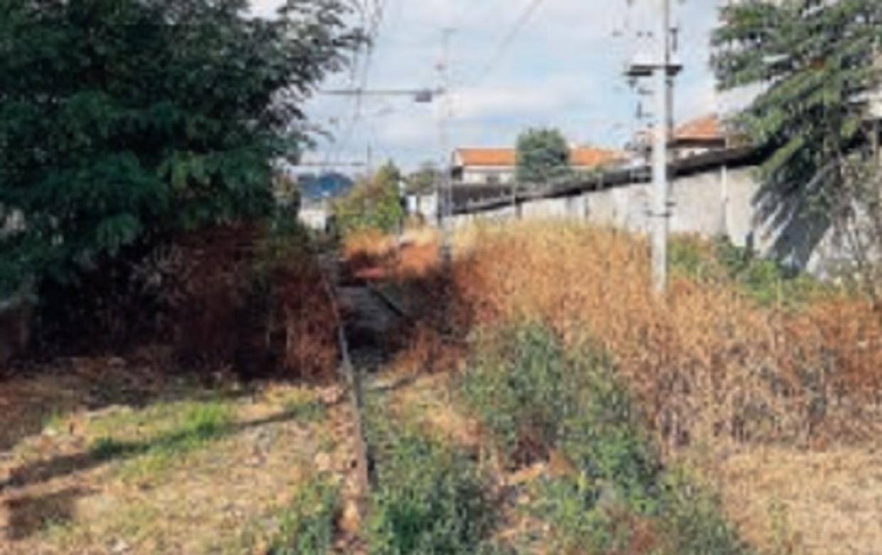 ferrovia