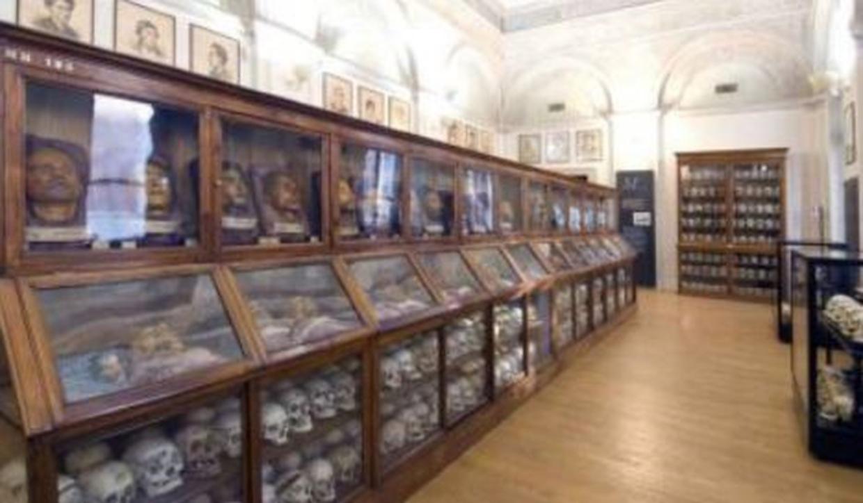 MuseoLombroso