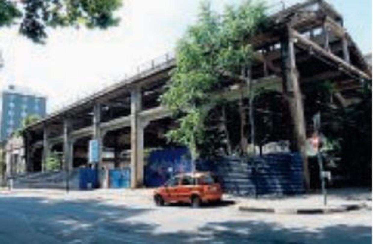 Nebiolo