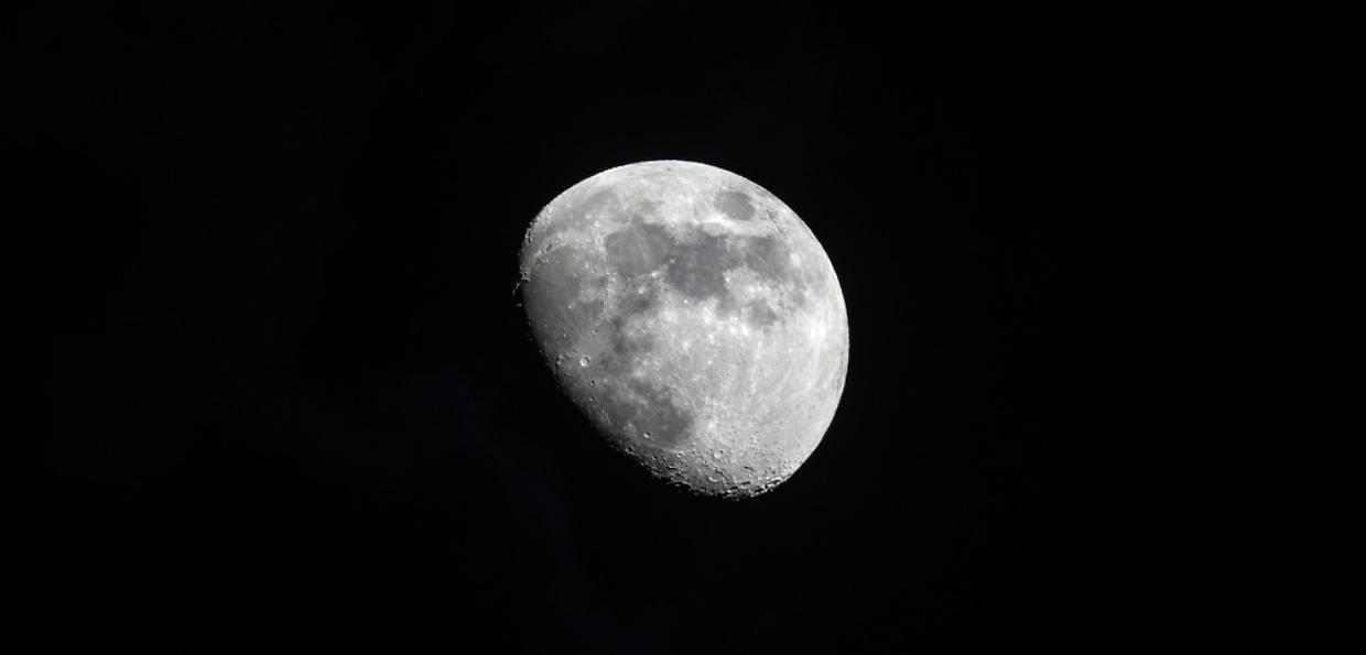 luna dp