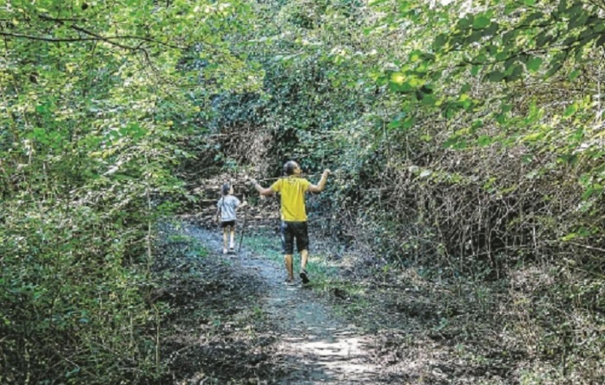 Passeggiata