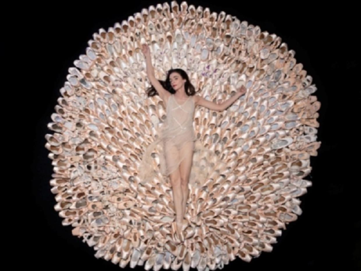TorinoDanza
