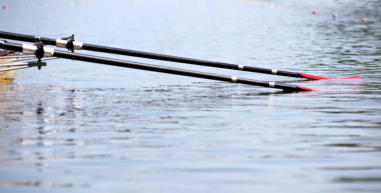 Regata remo