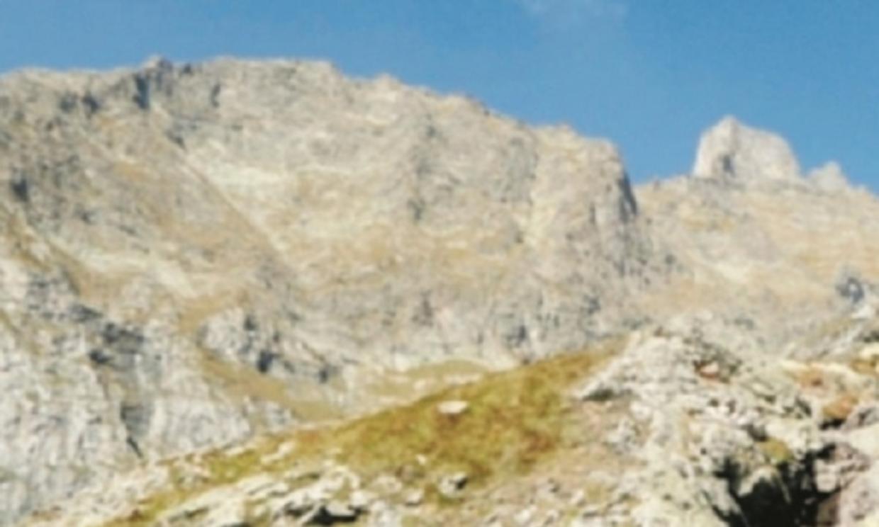 caccia cobalto argento