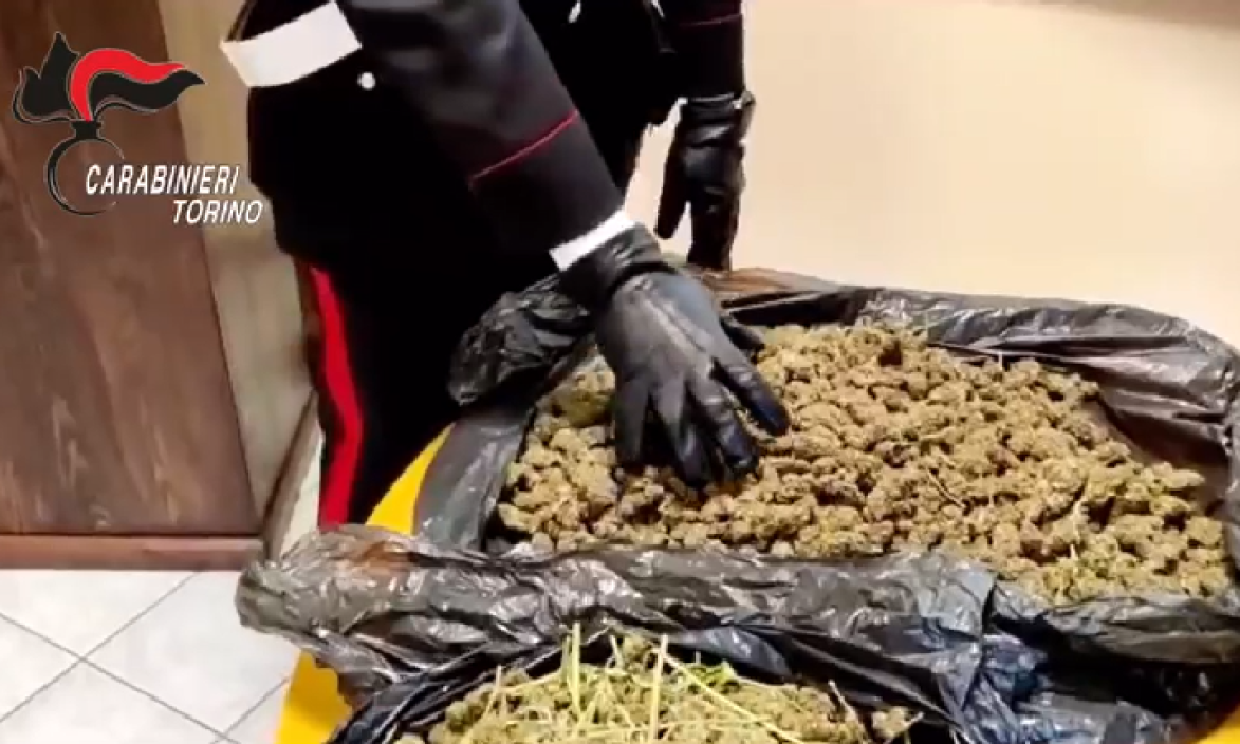 marijuana castagneto