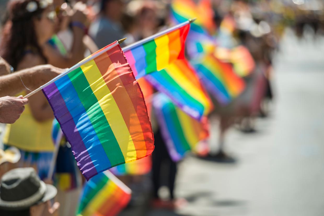GayPride spectators carrying Rainbow gay flags during Montreal P