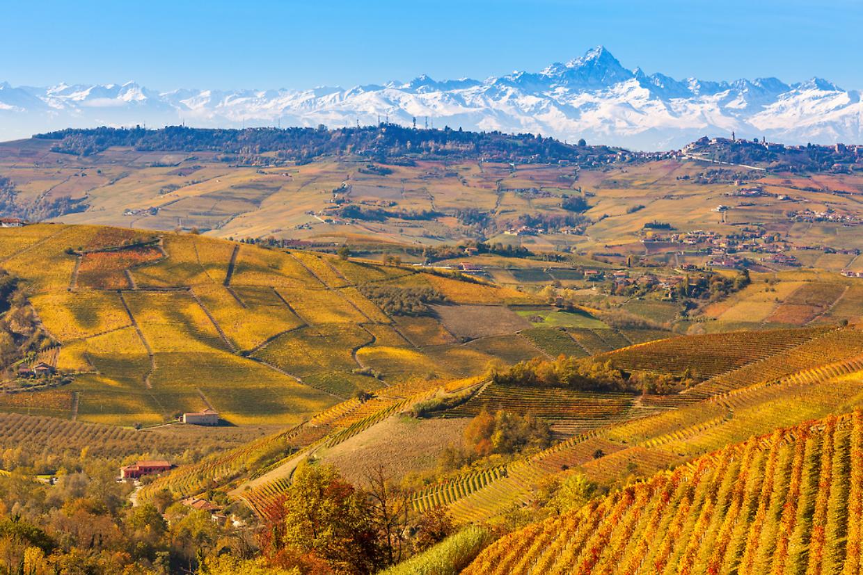 Autumnal vineyards and Alps in Piedmont, Italy.
