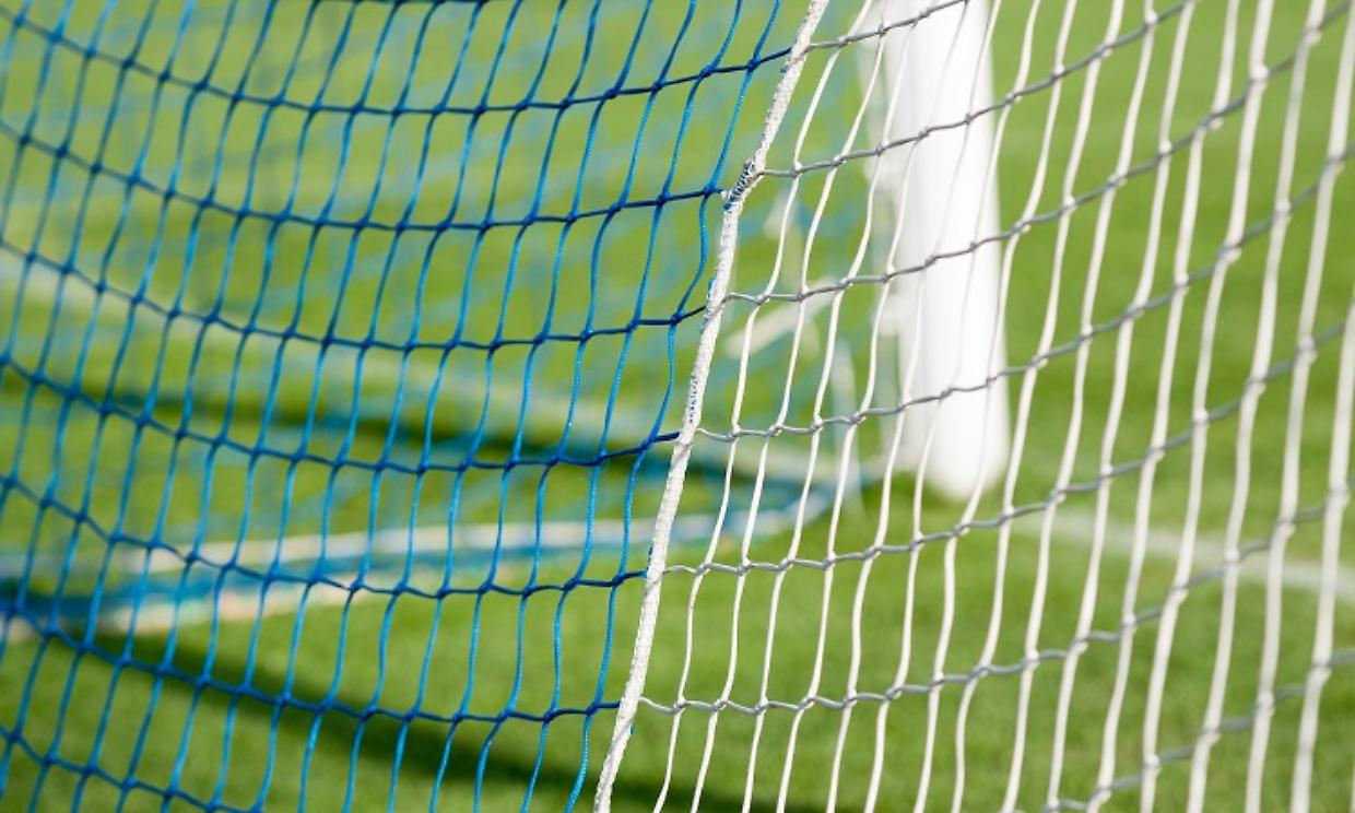 rete porta calcio dp