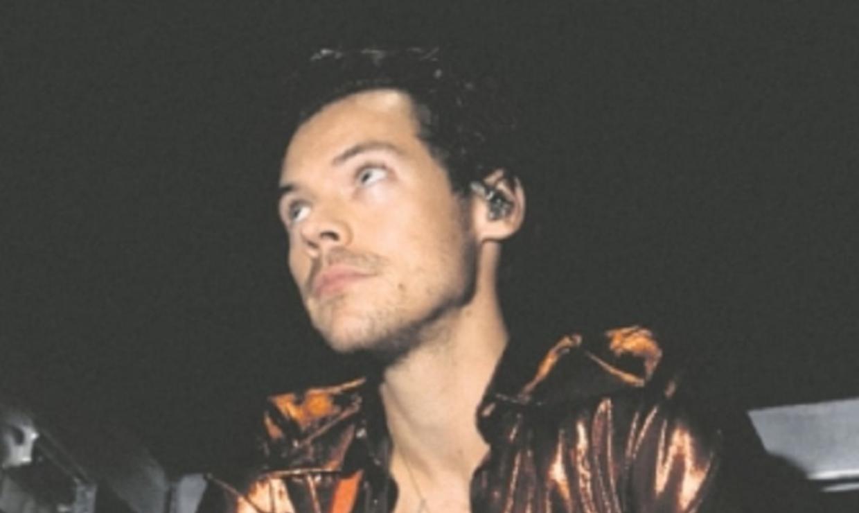 harry styles gn