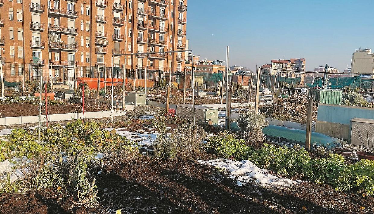 orti urbani gn