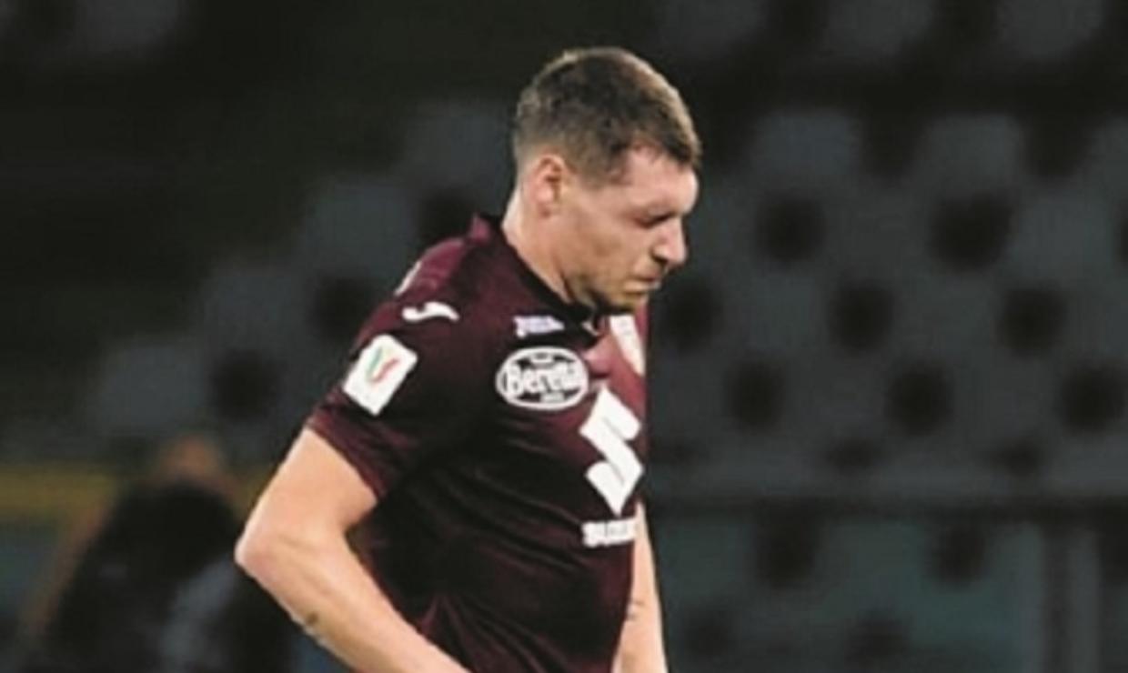 belotti toro gn 2022