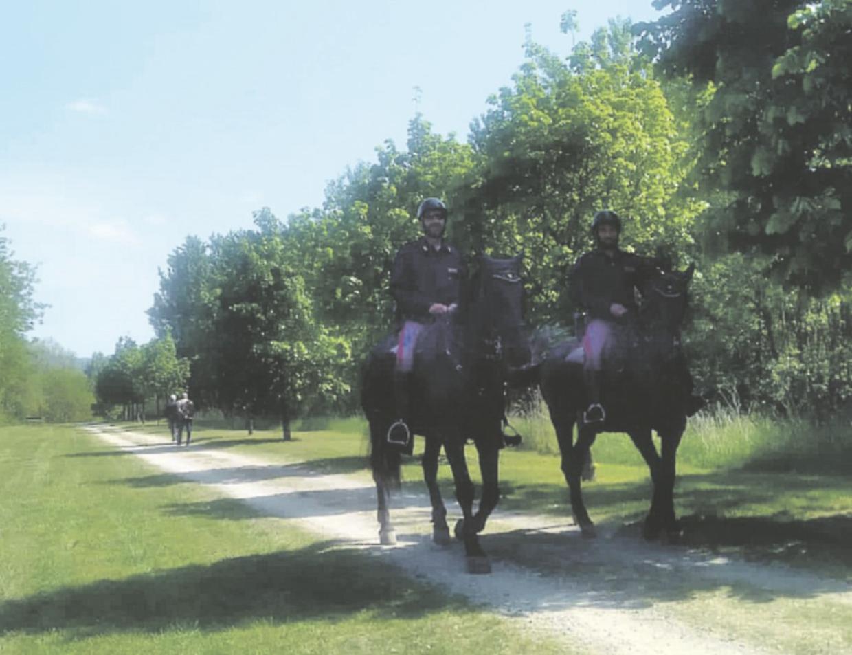 polizia cavallo stura