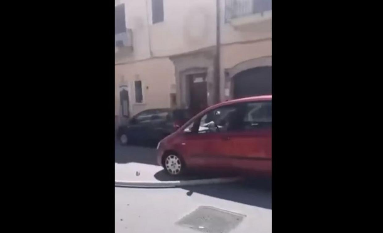 signora il palo