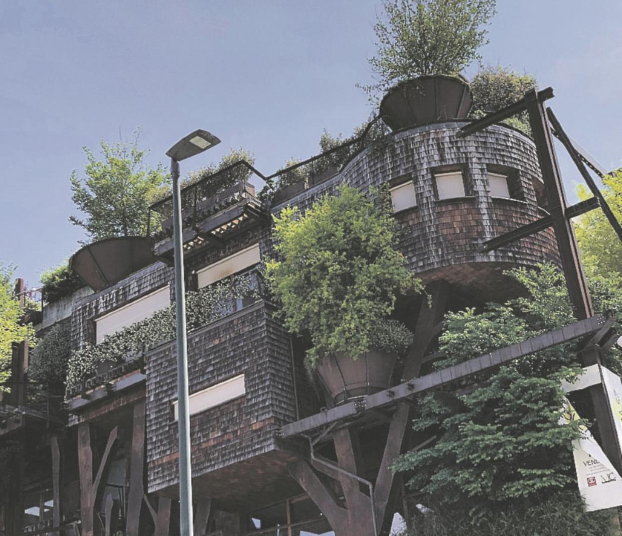 condominio foresta gn