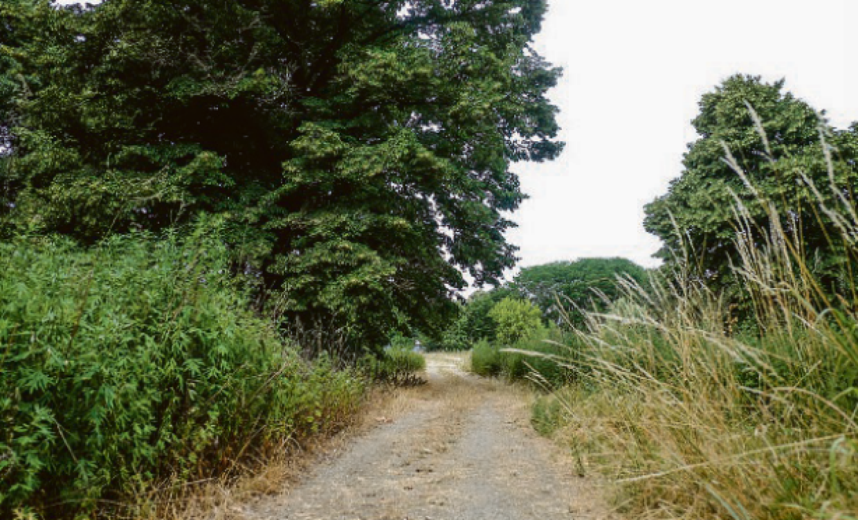 parco stura gn