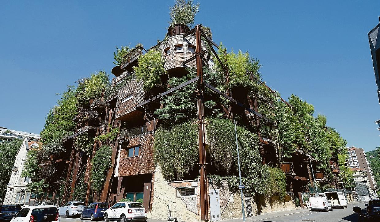 25 verde