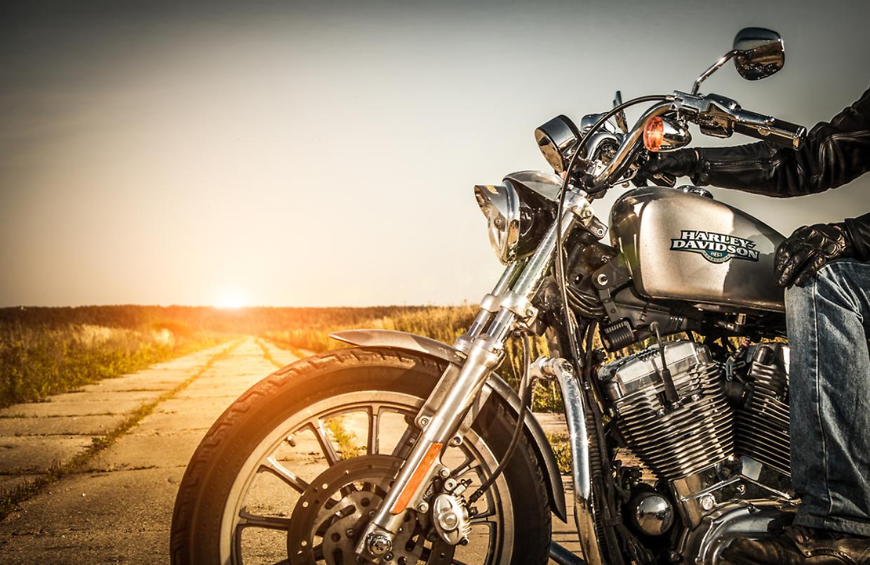Biker on bike Harley Sportster
