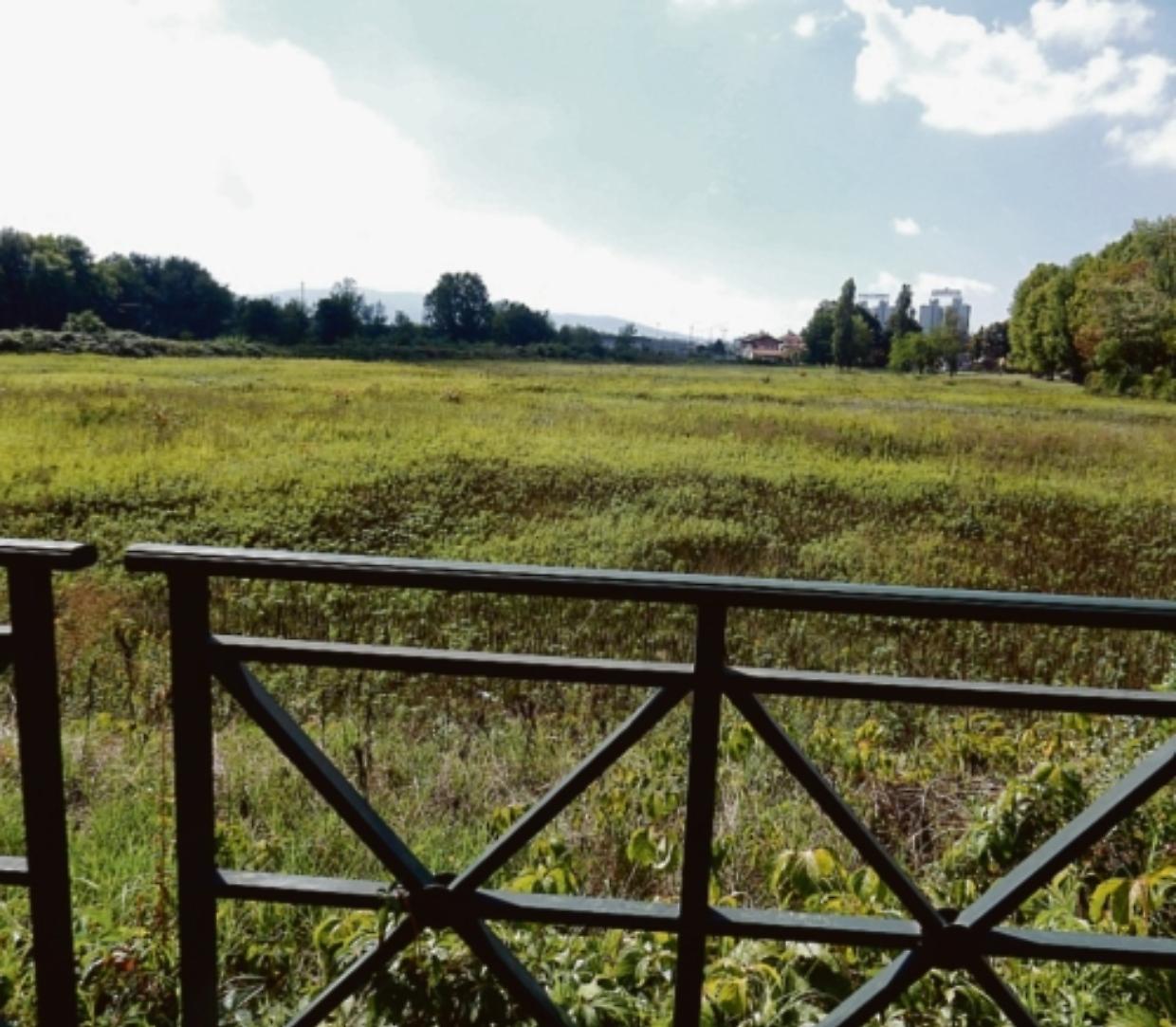 area borsetto