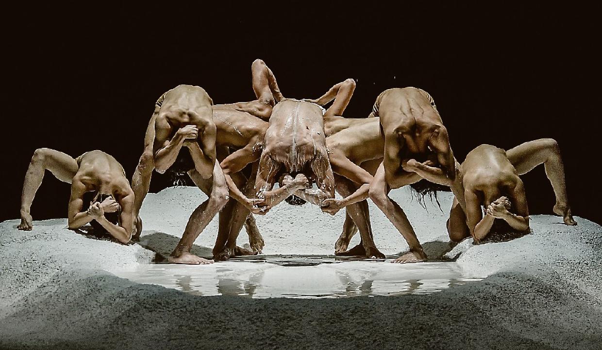 torinodanza