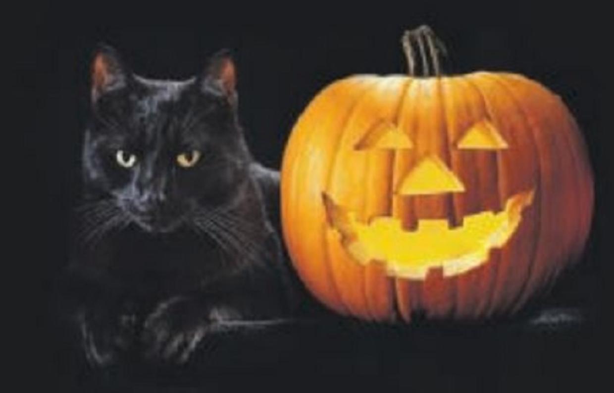 HalloweenAnimali